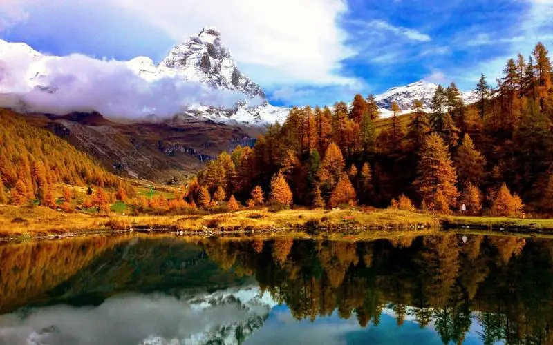 高性能高性能